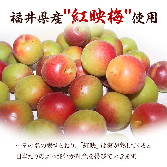 【送料無料】梅干しセットおためしセット(うす塩、しそ漬、はちみつ、昆布)各4粒個包装【asrk_ninki_item】【コンビニ受取対応商品】【店頭受取対応商品】お中元お土産手みやげにと人気