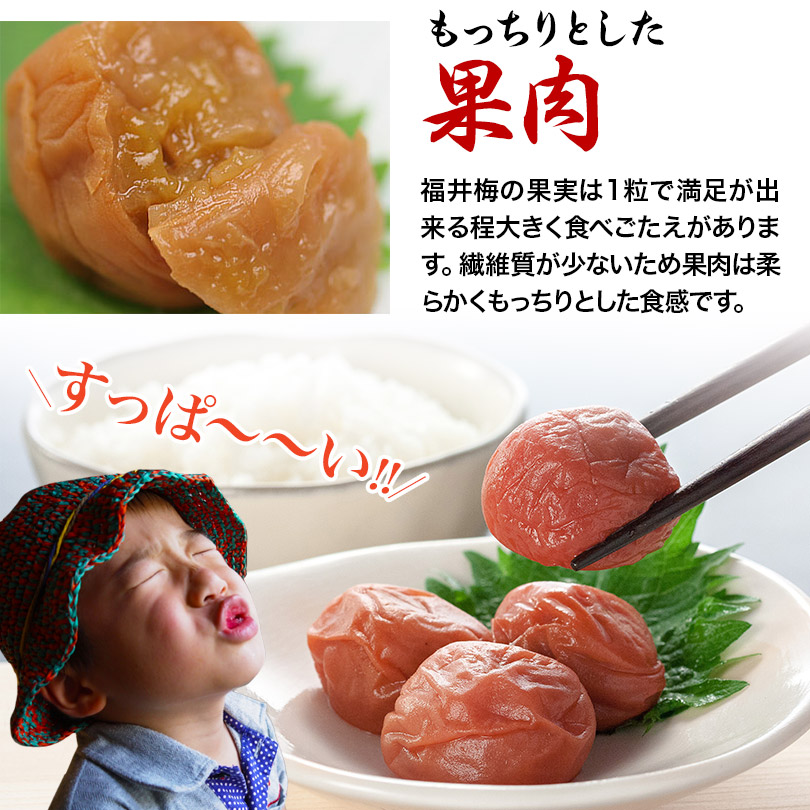 【送料無料】梅干しセットおためしセット(うす塩、しそ漬、はちみつ、昆布)各4粒個包装【asrk_ninki_item】【コンビニ受取対応商品】【店頭受取対応商品】お中元お土産手みやげにと人気