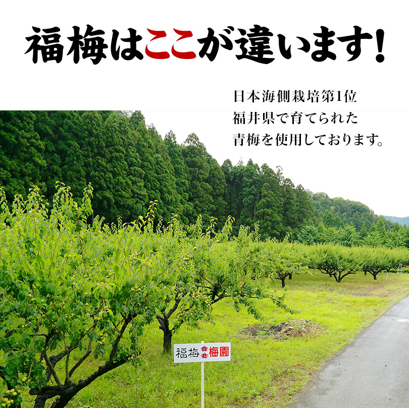 市場 送料無料 140g×4個セット 無添加ねり梅 国産うめ 国産梅 しそ葉入 ねり梅