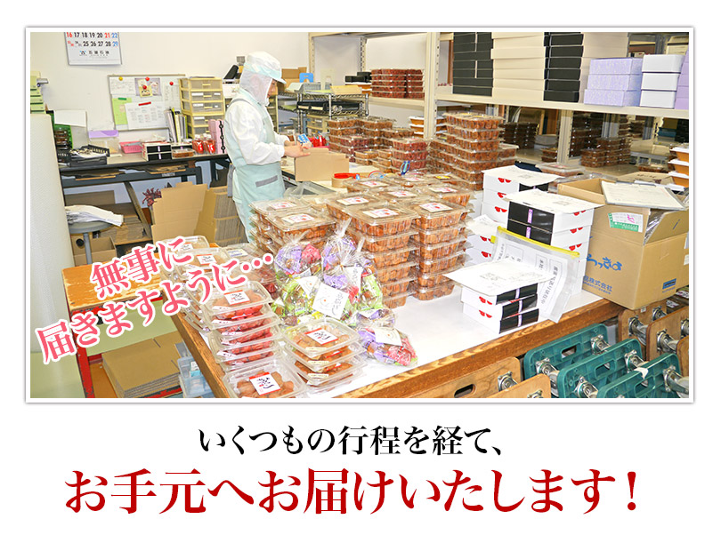 【送料無料】梅干しセットおためしセット(うす塩、しそ漬、はちみつ、昆布)各4粒個包装【asrk_ninki_item】【コンビニ受取対応商品】【店頭受取対応商品】お中元お土産手みやげにと人気