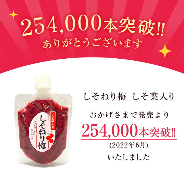 市場 送料無料 しそ葉入 140g×4個セット 国産うめ 国産梅 無添加ねり梅 ねり梅