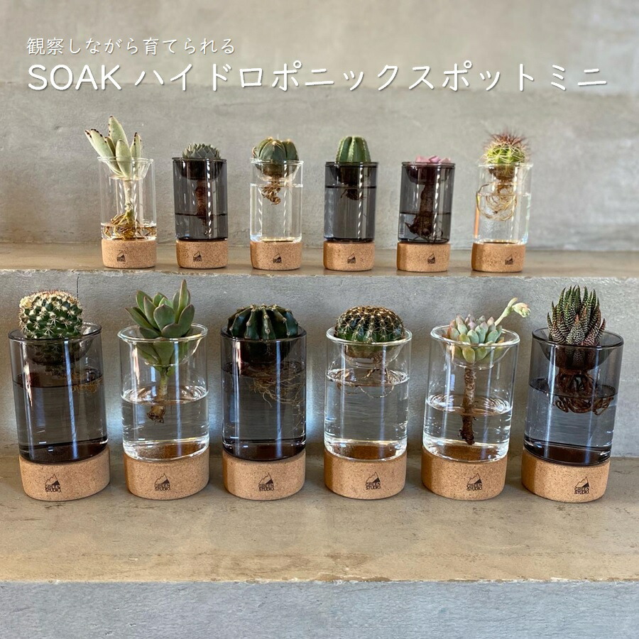 100％本物保証！ ガラス温室 フルセット 爬虫類（簡易温室を