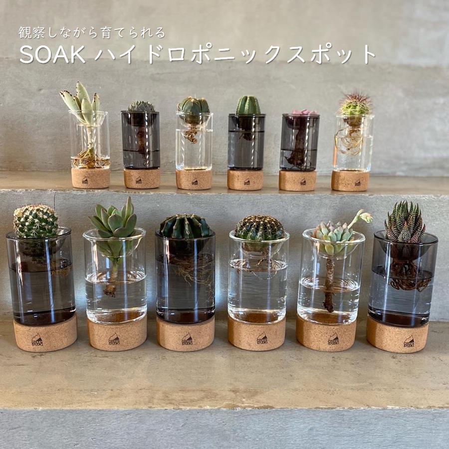 楽天市場】SOAKハイドロポニックスポットmini 水栽培用ガラス鉢