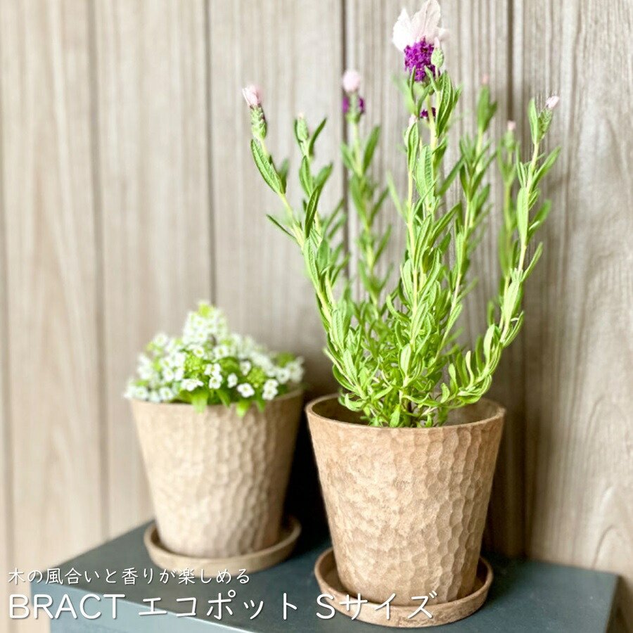 Ramat #195【ETH ETH】検索: 植木鉢 陶器鉢 作家鉢 プランター 植木鉢 おしゃれ 陶器鉢 オーラS (2色 3407872078 -  beautywhite