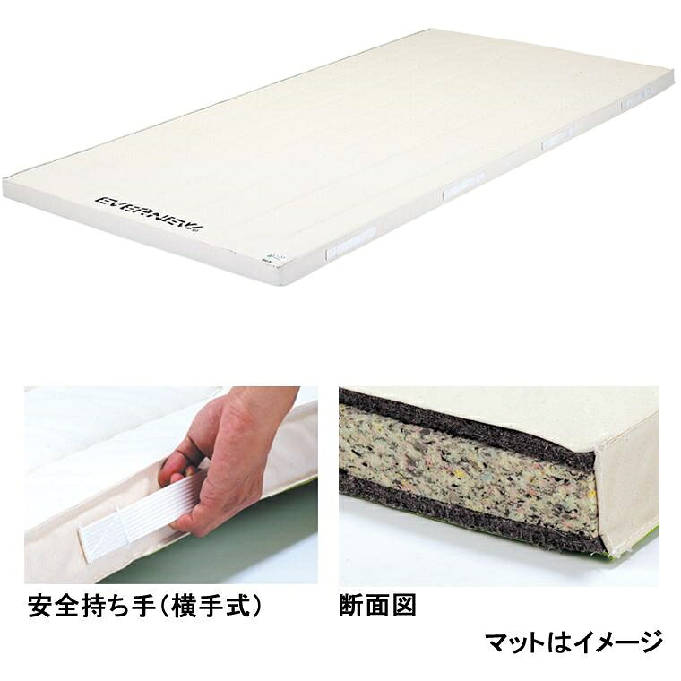 エバニュー 体操マット スイム・体操 合成スポンジコンビマット9号120×360×5 EKM314