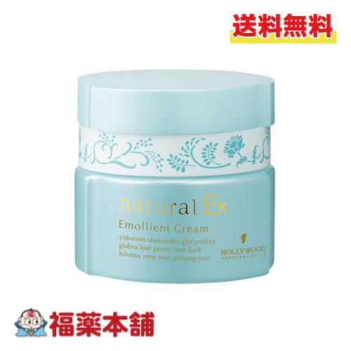 楽天市場】ハリウッド化粧品 アンテリッドクリーム (28g×5個