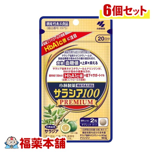 小林製薬 サラシア100 割り増し金 120粒入×6個 [ゆうパケット・貨物輸送無料] 20日分 血糖値 HbA1c値
