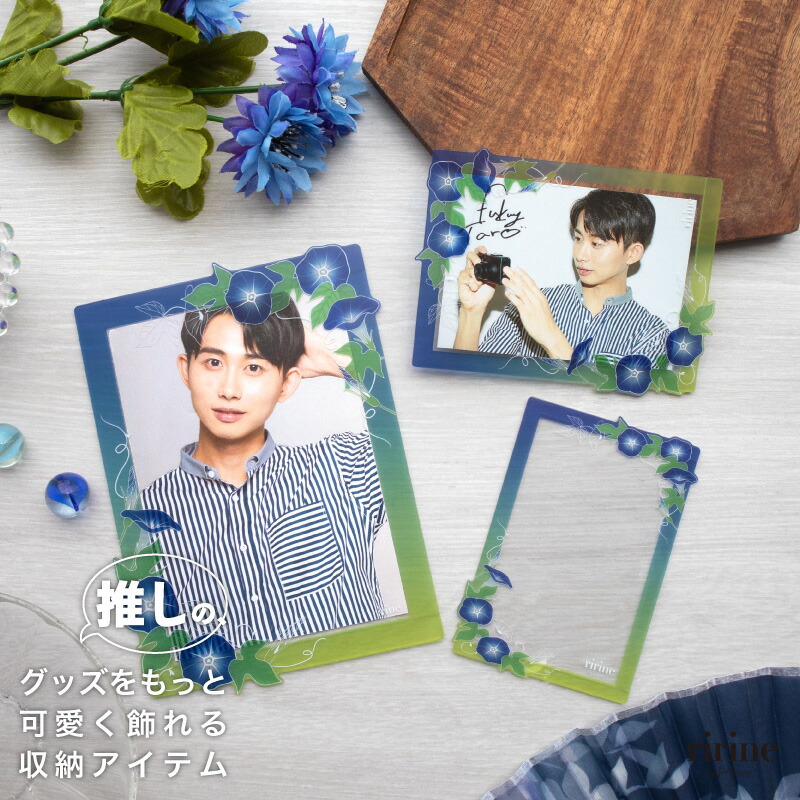 楽天市場】硬質ケース朝顔 フォトサイズ/カードサイズ/インスタント