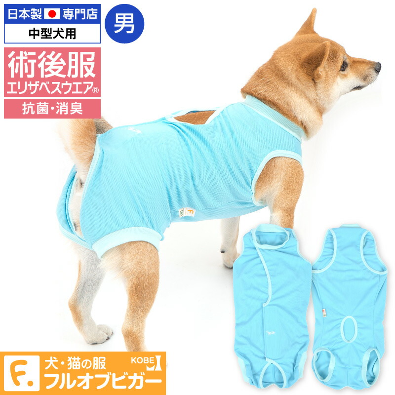 楽天市場 術後服 皮膚保護服エリザベスウエア R 犬 猫用術後服エリザベスウエア R Full Of Vigor