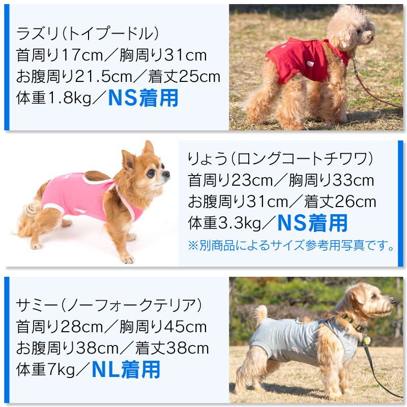 楽天市場 エリザベスカラーの代わりになる 獣医師推奨 犬用f ベア天術後服エリザベスウエア R 女の子 雌 ダックス 小型犬用 ネコポス値2 日本製 国産 避妊 去勢 乳腺腫瘍 手術 犬服 ドッグウェア チワワ トイプードル パグ 介護 犬の服 Full Of Vigor