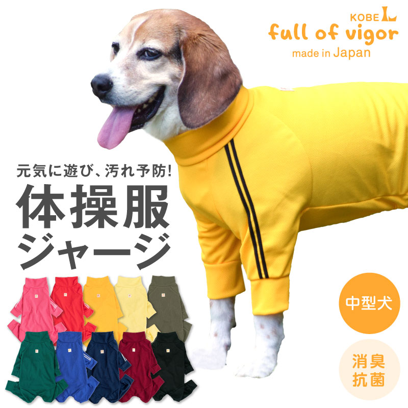 楽天市場 ドッグプレイ R 体操服ジャージつなぎ 中型犬用 ネコポス値3 日本製 国産 犬服 犬の服 ドッグウエア ダックス チワワ トイプードル 小型犬 ペット服 Full Of Vigor