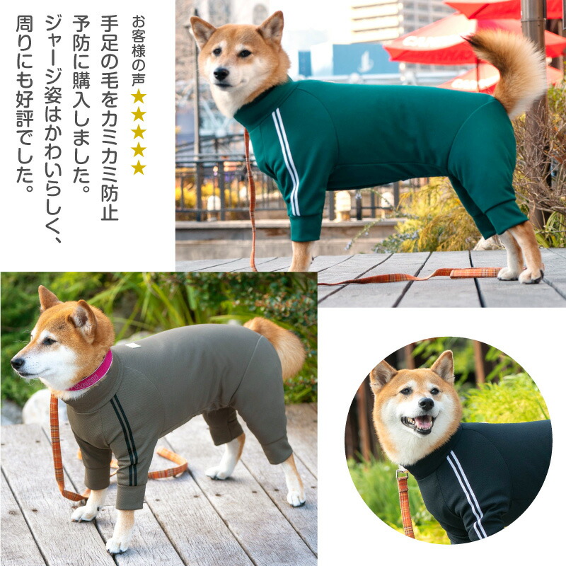 楽天市場 ドッグプレイ R 体操服ジャージつなぎ 中型犬用 ネコポス値3 日本製 国産 犬服 犬の服 ドッグウエア ダックス チワワ トイプードル 小型犬 ペット服 Full Of Vigor