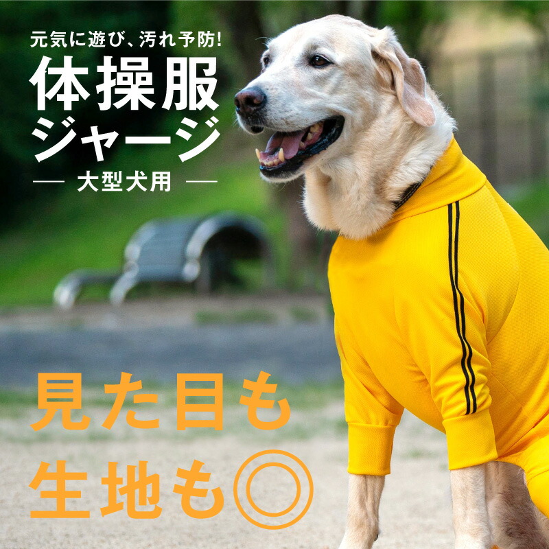 SALE／89%OFF】 ドッグランに散歩に大活躍 消臭やUVカットなど機能満載の犬服オールイワン ドッグプレイ R 体操服ジャージつなぎ  varnachhaya.com