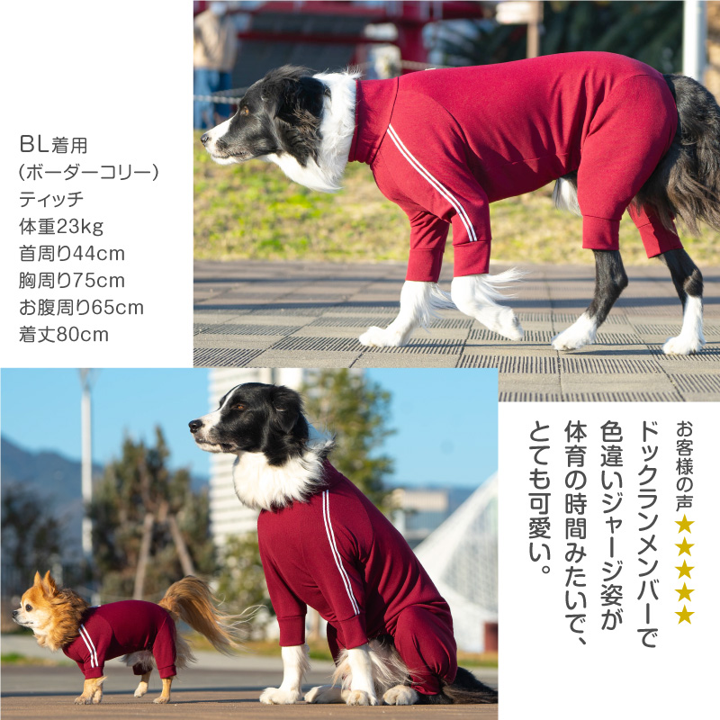 SALE／89%OFF】 ドッグランに散歩に大活躍 消臭やUVカットなど機能満載の犬服オールイワン ドッグプレイ R 体操服ジャージつなぎ  varnachhaya.com