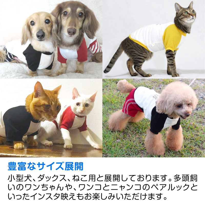 ☆決算特価商品☆ 猫用ロゴプリントベア天袖付きTシャツ qdtek.vn