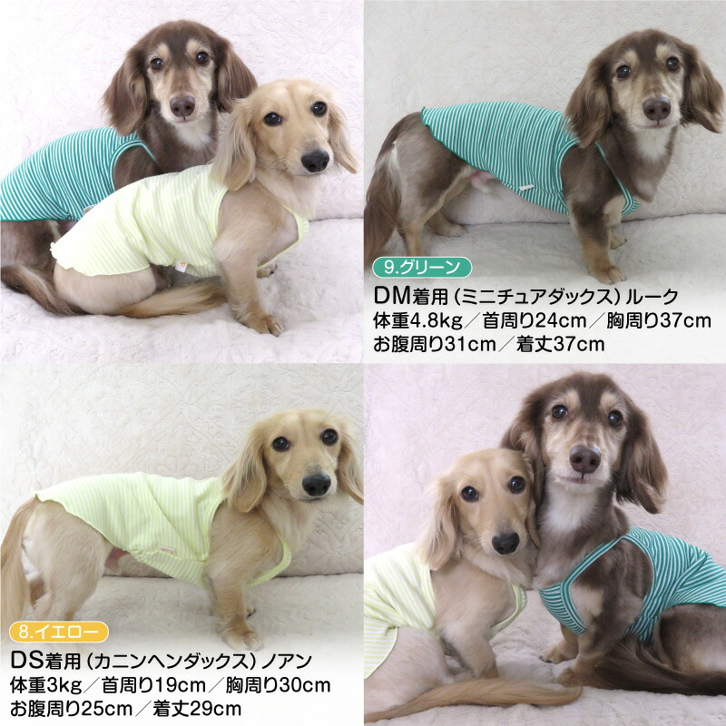 市場 22年春夏新作 犬服 タンクトップ ダックス フライスボーダーキャミソール ドッグウエア 小型犬用 ネコポス値2 日本製