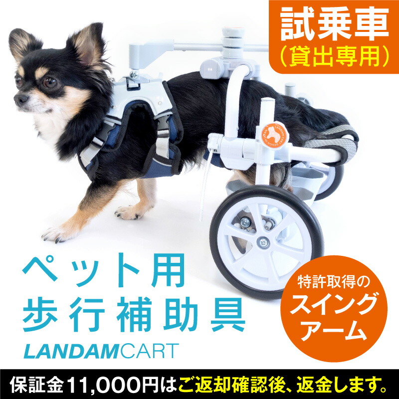 楽天市場】【送料込】【ワンちゃんの車椅子】ランダムカート犬 車椅子 歩行器 ダックス チワワ トイプードル 老犬 シニア犬 下半身麻痺 介護 補助 歩行補助具  犬用車椅子 犬の服 フルオブビガー : full of vigor