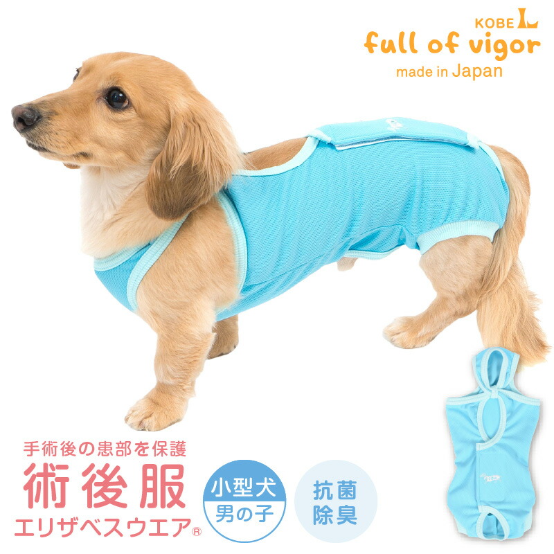楽天市場】エリザベスカラー の代わりに 中型犬 服 夏 春 中型犬