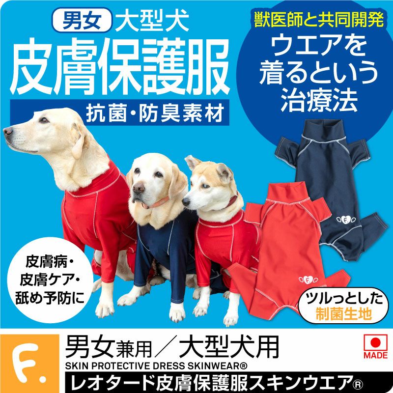 犬の皮膚病診療マニュアル（大型本） Amazon.co.jp: 犬と猫の皮膚病治療マニュアル : ス- パタ-ソン: 本