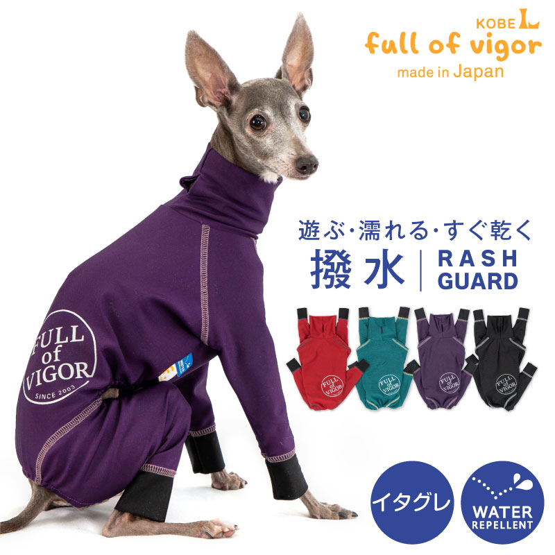 楽天市場】シャカシャカ 音がしない 中型犬 服 春 夏 中型犬用