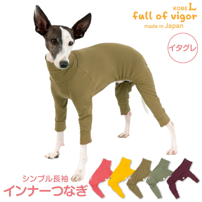 楽天市場】【送料無料】イタグレ 服 メッシュロンパース ネオン
