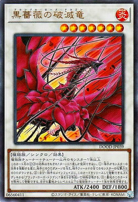 楽天市場】遊戯王 黒薔薇と荊棘の魔女[ヘイト・ローズ・ウィッチ