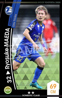 wccfカード 41AeoredcZL._UF350,350_QL50_.jpg