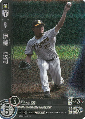 ドリームオーダー 広島SP 10枚セット ドリームオーダー 広島SP 10枚セット ドリームオーダー 広島SP