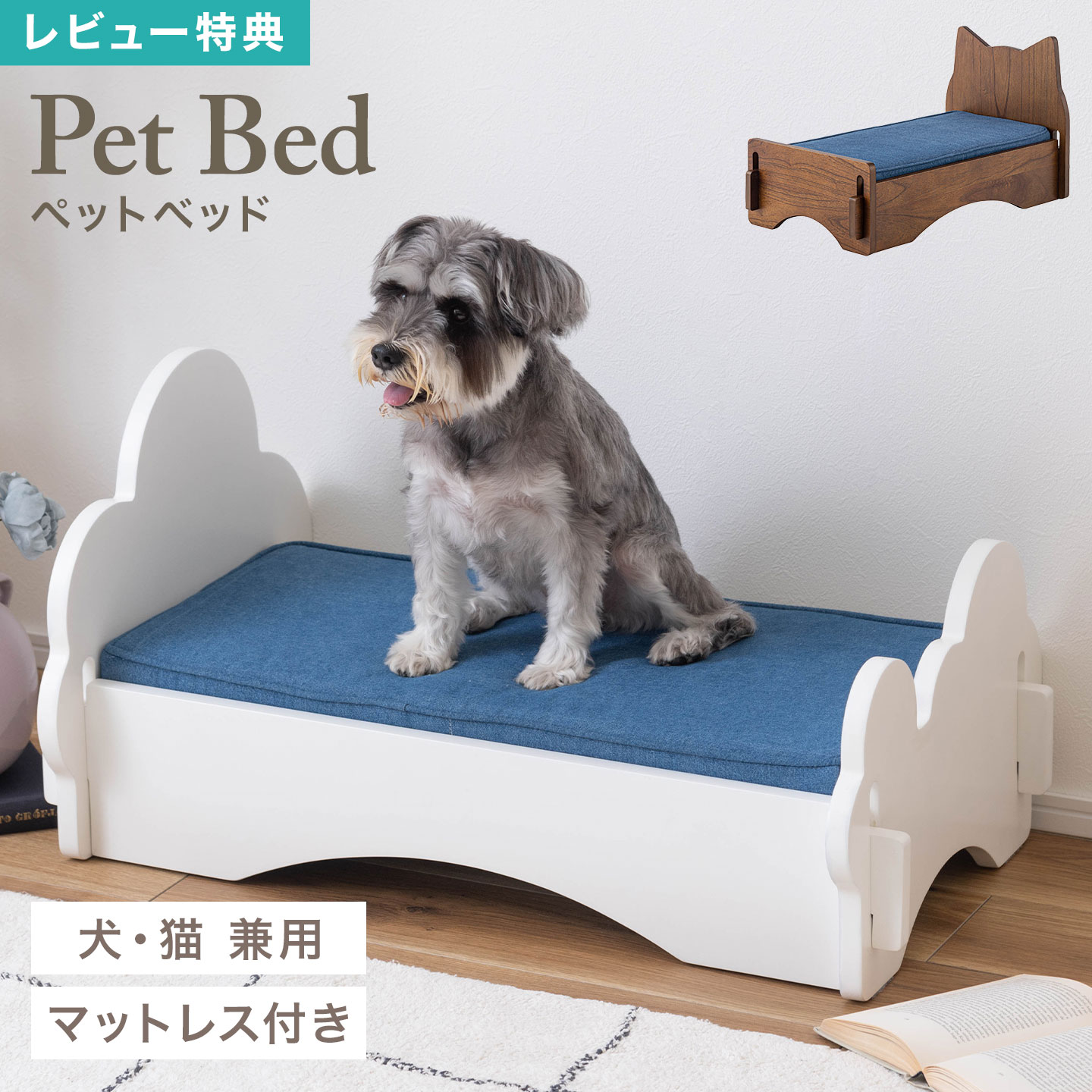 アフター大売り出し執り行なう中！降雨商いものに使えるお得なクーポン券＆店卸し資産極限点商いものも