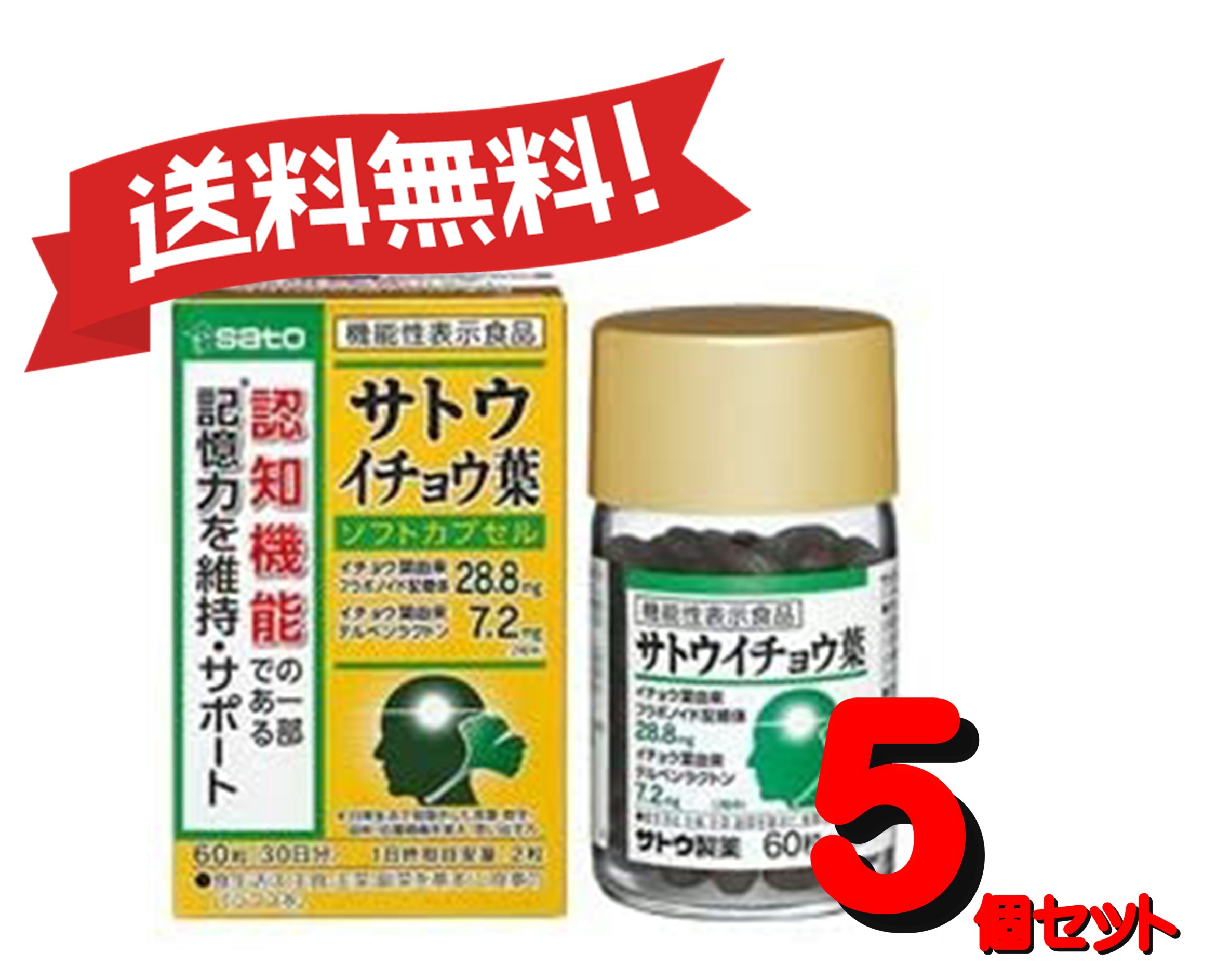 高い素材 送料無料 5個セット サトウ イチョウ葉 60粒 5 全国宅配無料 Www E Viar Com