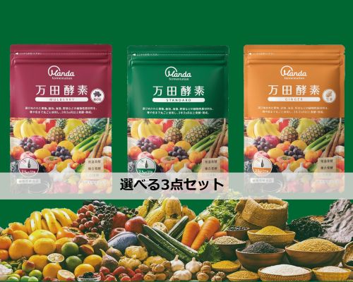 【お猥りがましいな味3点】 万田エンザイム 2.5g×31包 マル木の実/生姜/判定基準 (4909882100111) 【ゆうパケットにて送りとどける】