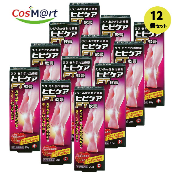 【12個セット】 【第3類医薬品】 【株式会社池田模範堂】ヒビケアFT軟膏 20g(4987426002244-12)|CosM@rt