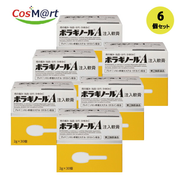 【6個セット】 【指定第2類医薬品】 天藤製薬 ボラギノールA注入軟膏 2g×30個 いぼ痔 きれ痔 さけ痔 痛み 出血 はれ かゆみの緩和 (4987978101051-6)