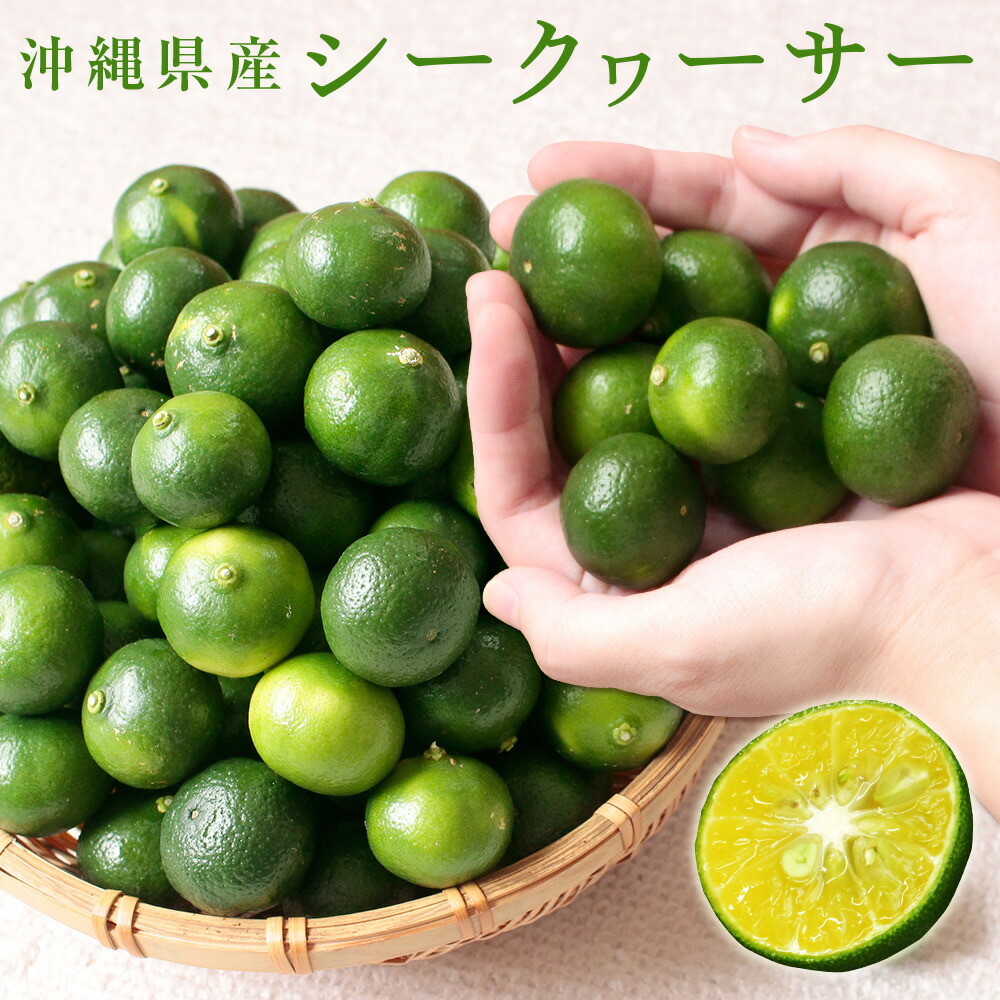 【訳あり】【新品未開封】沖縄　青切りシークァーサー　４本　賞味期限を確認下さい 沖縄産 青切り シークワーサー シークヮーサー 訳あり 果実 種