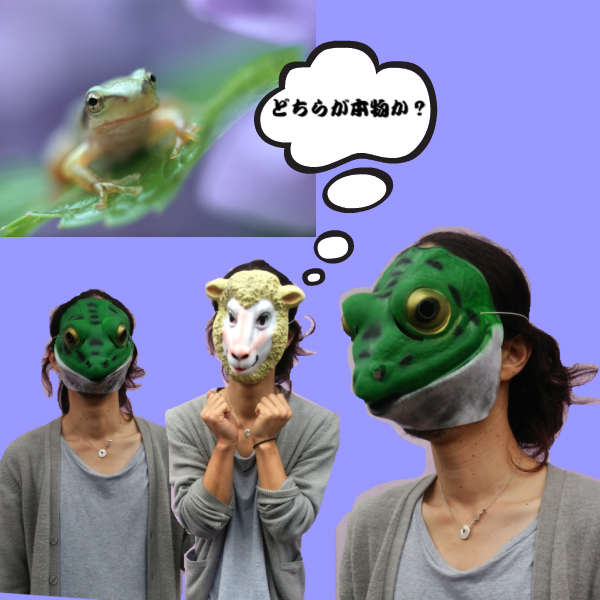 楽天市場 アニマルマスク カエル 蛙マスク 動物お面 かえる Frog Mask 仮面 お面 仮装 変装 仮装マスク コスプレ クリスマス ハロウィン コスプレ仮面 プラスチックお面 大人向け 男女兼用 パーティーグッズ コスチューム Fun Funny