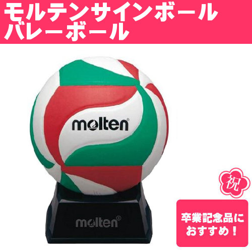 モルテン(Molten)サインボール バレーボール ITカラー(卒業記念品 記念 マスコットボール サインボール)