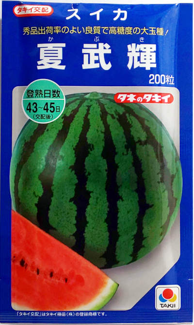 夏すずみ　350粒 タキイ種苗 キュウリ 胡瓜 VR夏すずみ 350粒 : 種苗・園芸