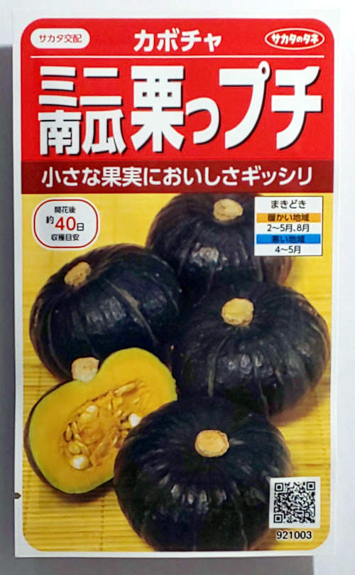76%OFF!】 かぼちゃ 坊ちゃん100粒 みかど協和交配