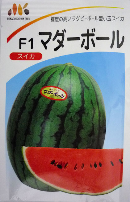【みかど協和】マダーボール 200粒