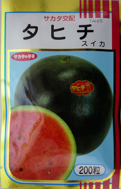 【サカタのタネ】 タヒチ西瓜　200粒