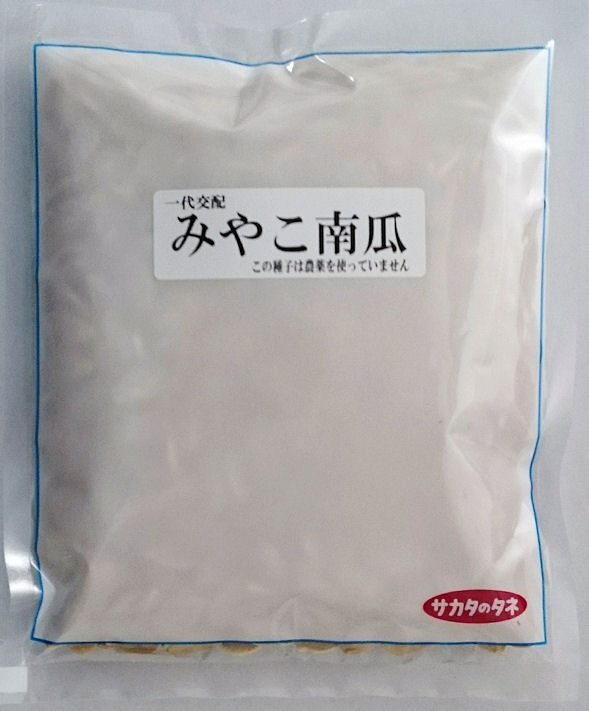 【サカタのタネ】 みやこカボチャ　500粒