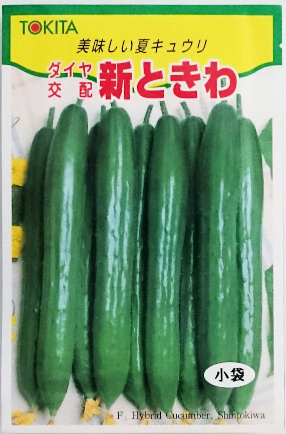 夏すずみ　350粒 楽天市場】【タキイ種苗】VR夏すずみキュウリ 350粒 : 船木種苗店