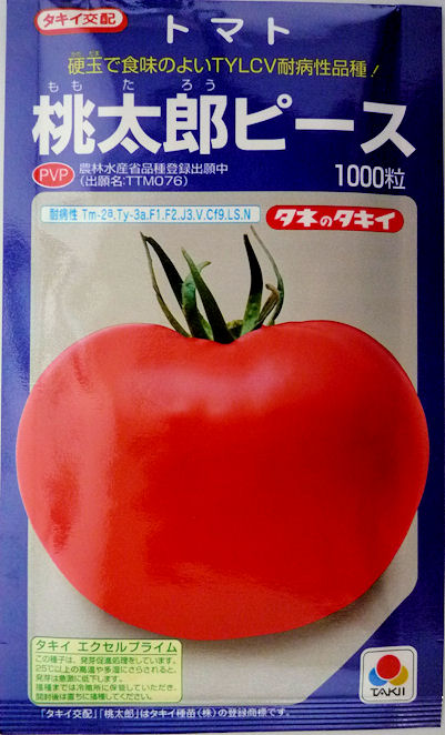 日本 送料無料 トマト 桃太郎ホープ コート ２Ｌ 1000粒 タキイ交配