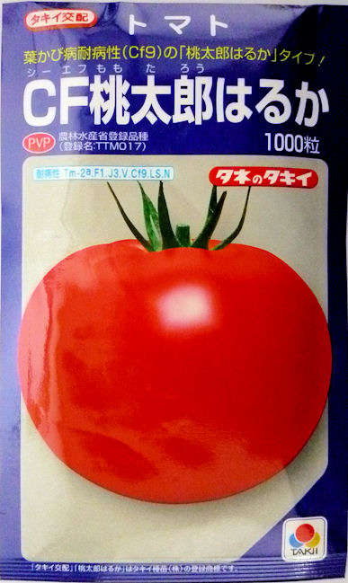 【タキイ種苗】CF桃太郎はるかトマト 1000粒農林水産省登録品種(品種名:TTM017)|船木種苗店