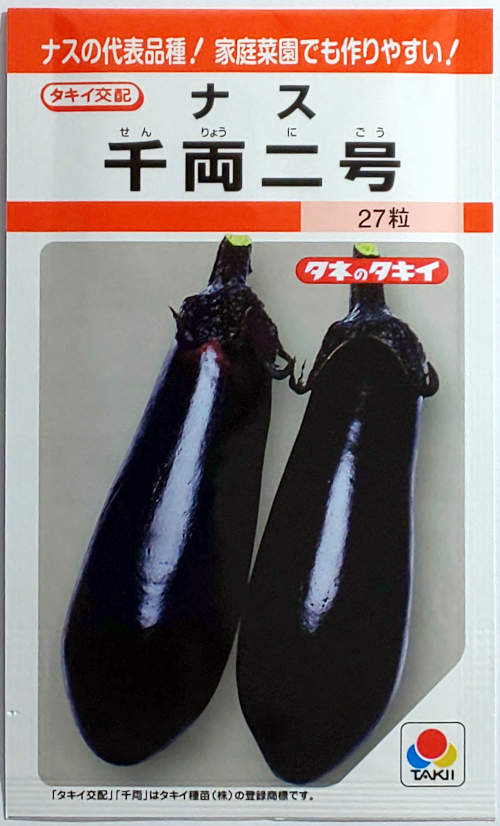 【今だけお買い得❗️】なす苗　千両2号　◎プラグ苗(100苗)◎ 楽天市場】【タキイ種苗】千両2号ナス 50粒 : 船木種苗店