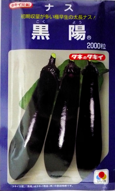 【タキイ種苗】 黒陽ナス　2000粒