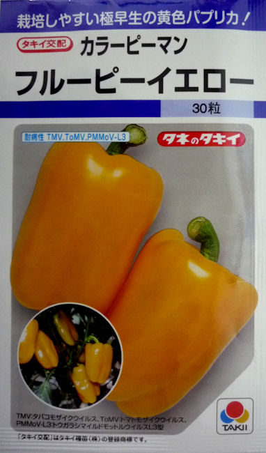 楽天市場 タキイ種苗 フルーピーイエローピーマン 27粒 船木種苗店