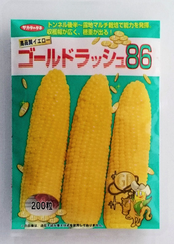 セール 00921207 サカタのタネ スイートコーン 実咲野菜1207 ゆめのコーン 香味、薬味野菜