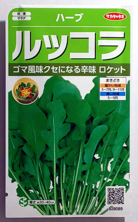 祝日 ルッコラ 郵便発送商品 小袋 2ml入り ハーブ