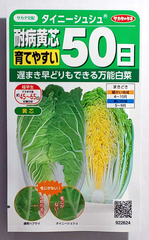 楽天市場】【タキイ種苗】ＣＲお黄にいり白菜 1.8ml : 船木種苗店